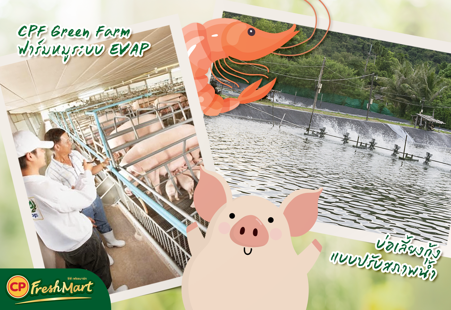 ช้อปหมู-กุ้งที่ CP สะดวกซื้อใส่ใจอย่างยั่งยืน | CP FreshMart